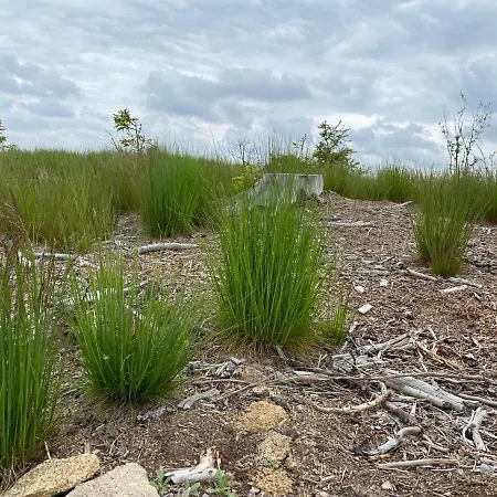 Vakantiehuis Mariz 77 *