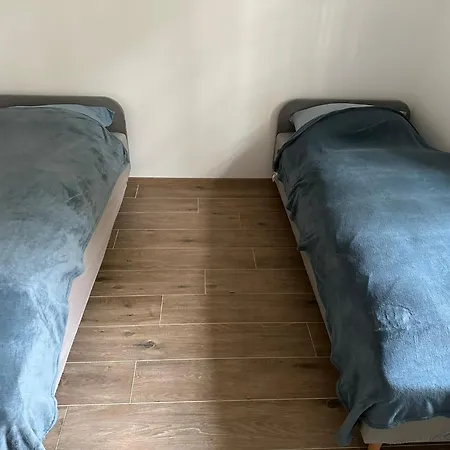 Mariz 77 斯拉沃尼采